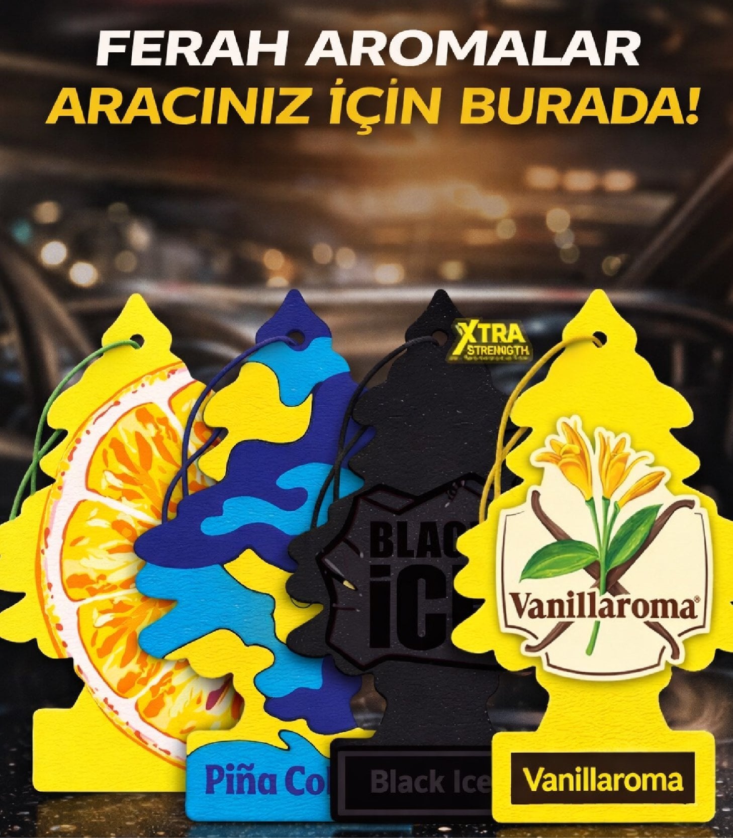 arac-kokusu